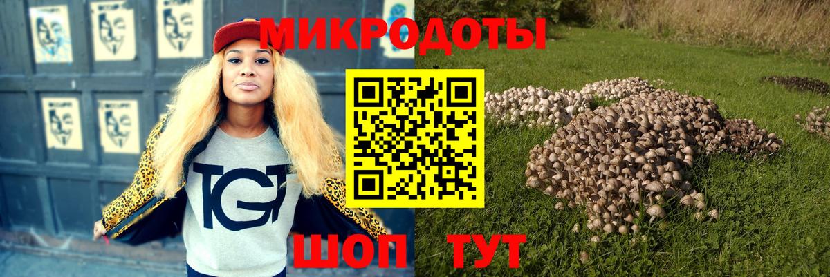Псилоцибиновые грибы прущие грибы Мытищи