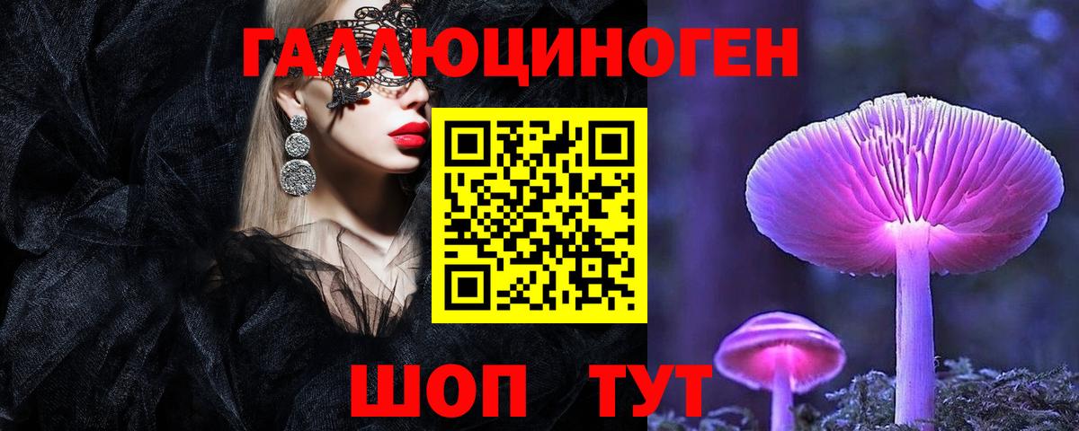 Псилоцибиновые грибы Psilocybine cubensis  Вход с VPN  Псилоцибиновые грибы Psilocybine cubensis  Мытищи 