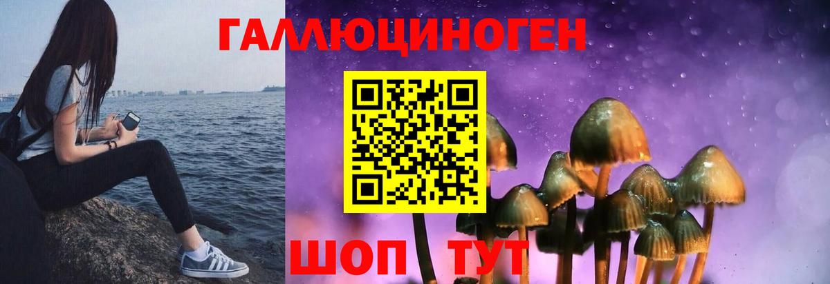 Галлюциногенные грибы Cubensis  Галлюциногенные грибы MAGIC MUSHROOMS  Мытищи 