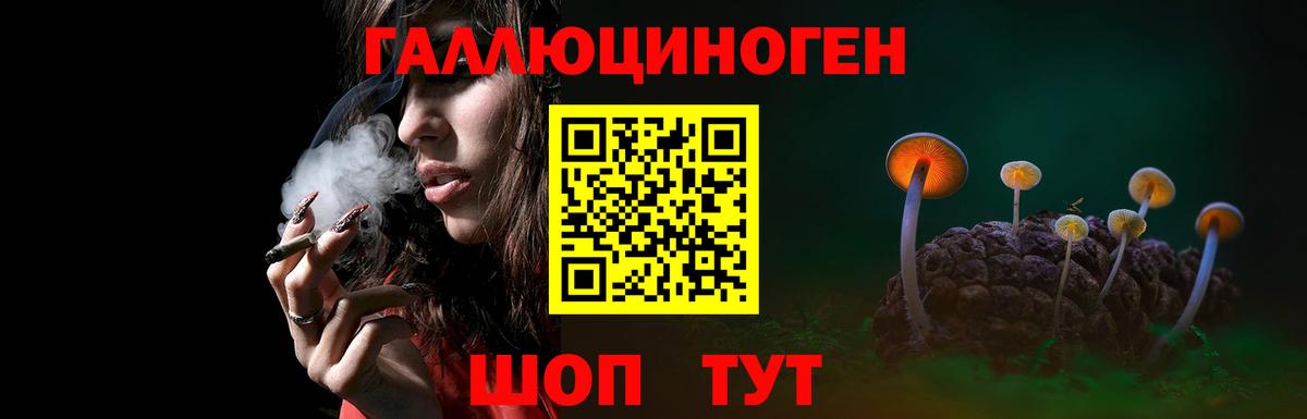 Псилоцибиновые грибы Psilocybine cubensis Мытищи