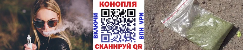 дарк нет Telegram  Мытищи  Канабис план 